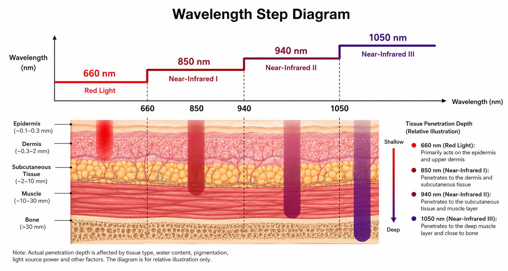 Comparison of 660nm 850nm 940nm and 1050nm red light therapy wavelengths